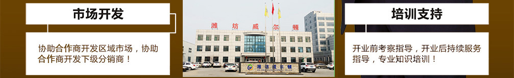 濰坊威爾頓科技有限公司廠容廠貌